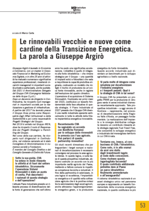 Le rinnovabili vecchie e nuove come cardine della Transizione Energetica. La parola a Giuseppe Argirò