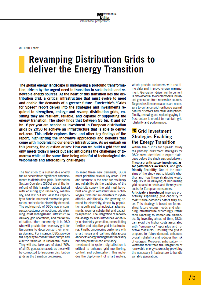 Revamping Distribution Grids to deliver the Energy Transition