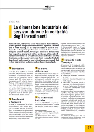 La dimensione industriale del servizio idrico e la centralità degli investimenti