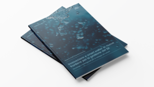 Executive Summary - Rapporto OSWI 2026